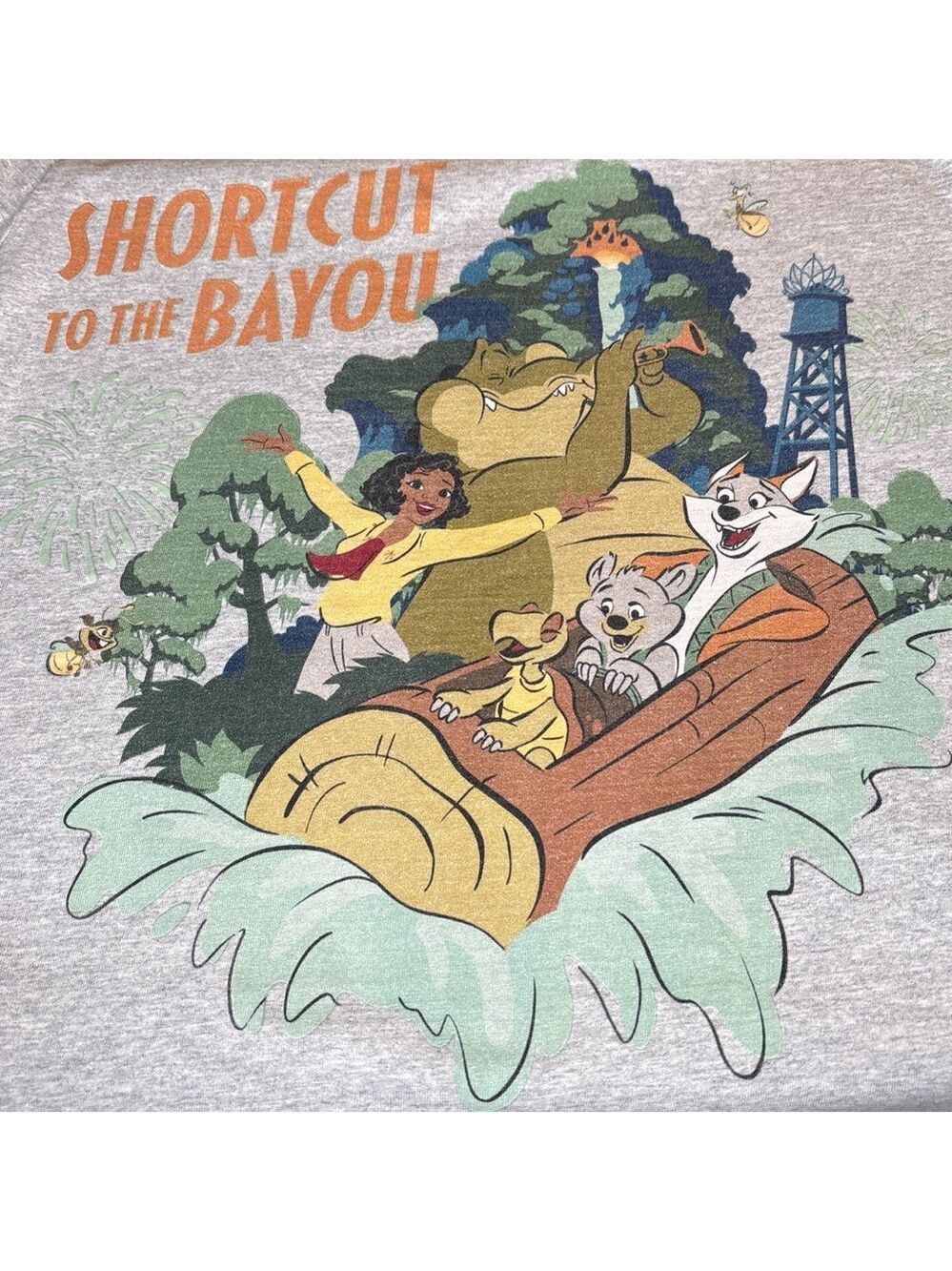 Disney Gray 'Shortcut to the Bayou' Graphic Short Sleeve Cotton Tee Small - Picture 2 of 6